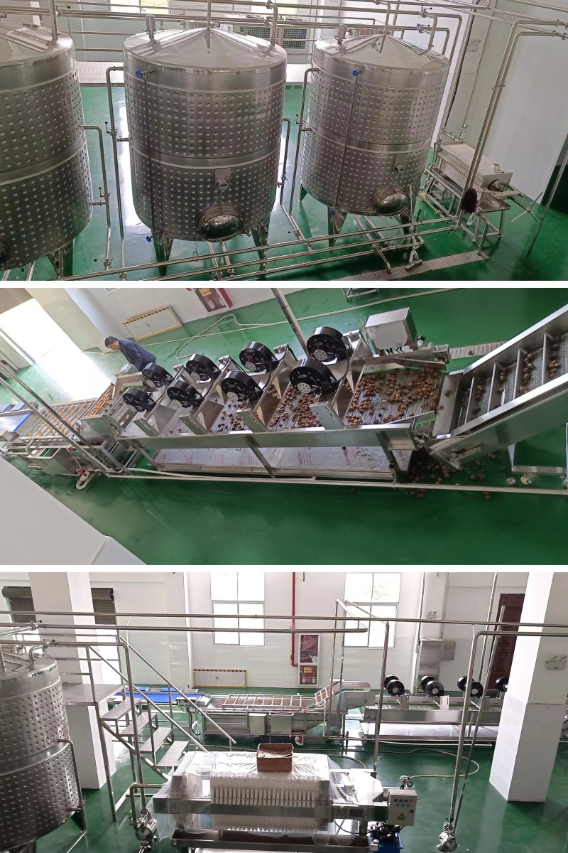 加工山楂果醋成套設備有哪些 果醋飲料生產